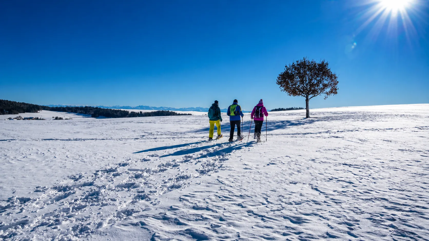 Raquettes à neige autour de La Colle Saint Michel